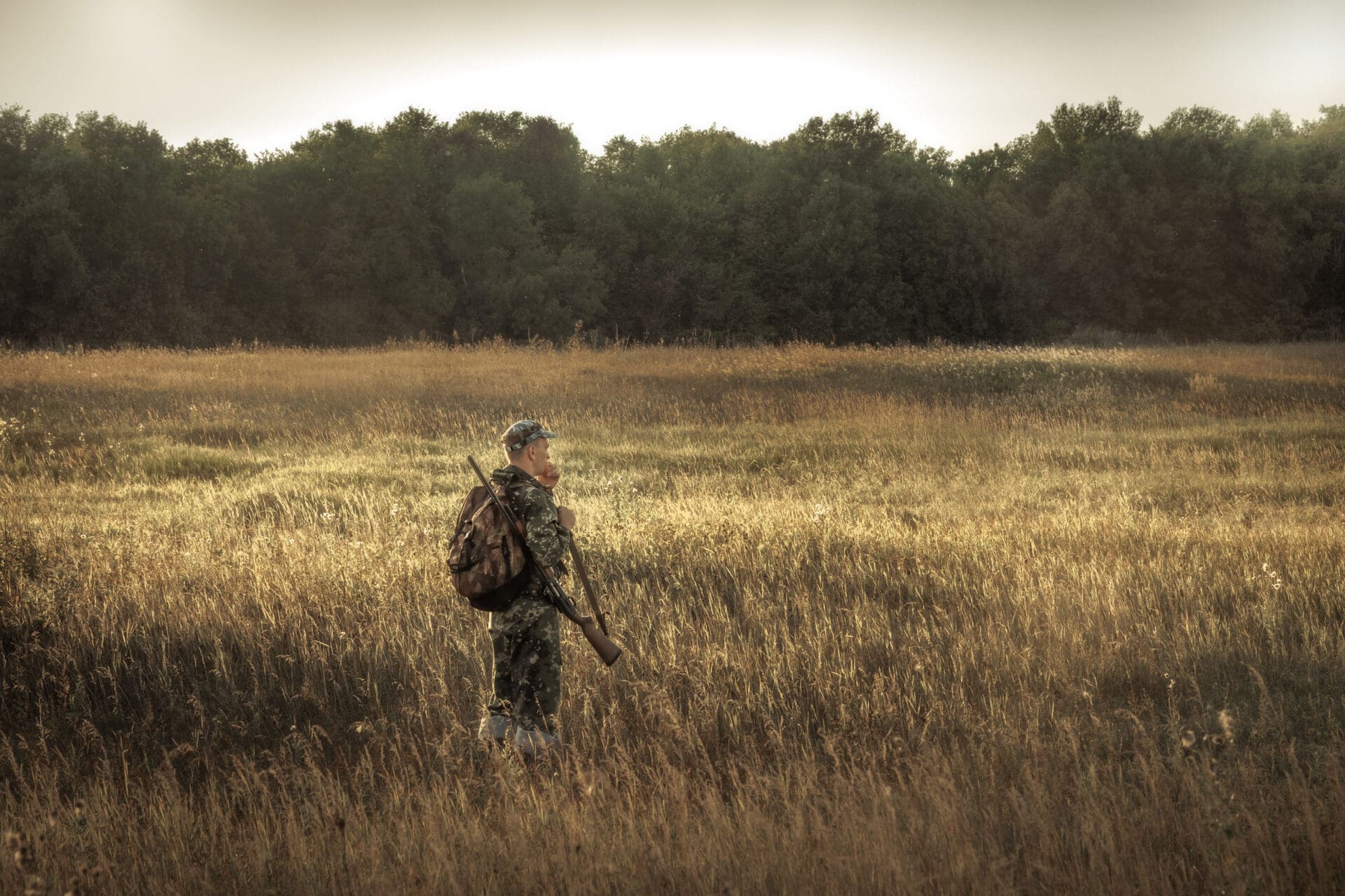 Hunter Hunting In Rural Field Nearby Woodland At Sunset During