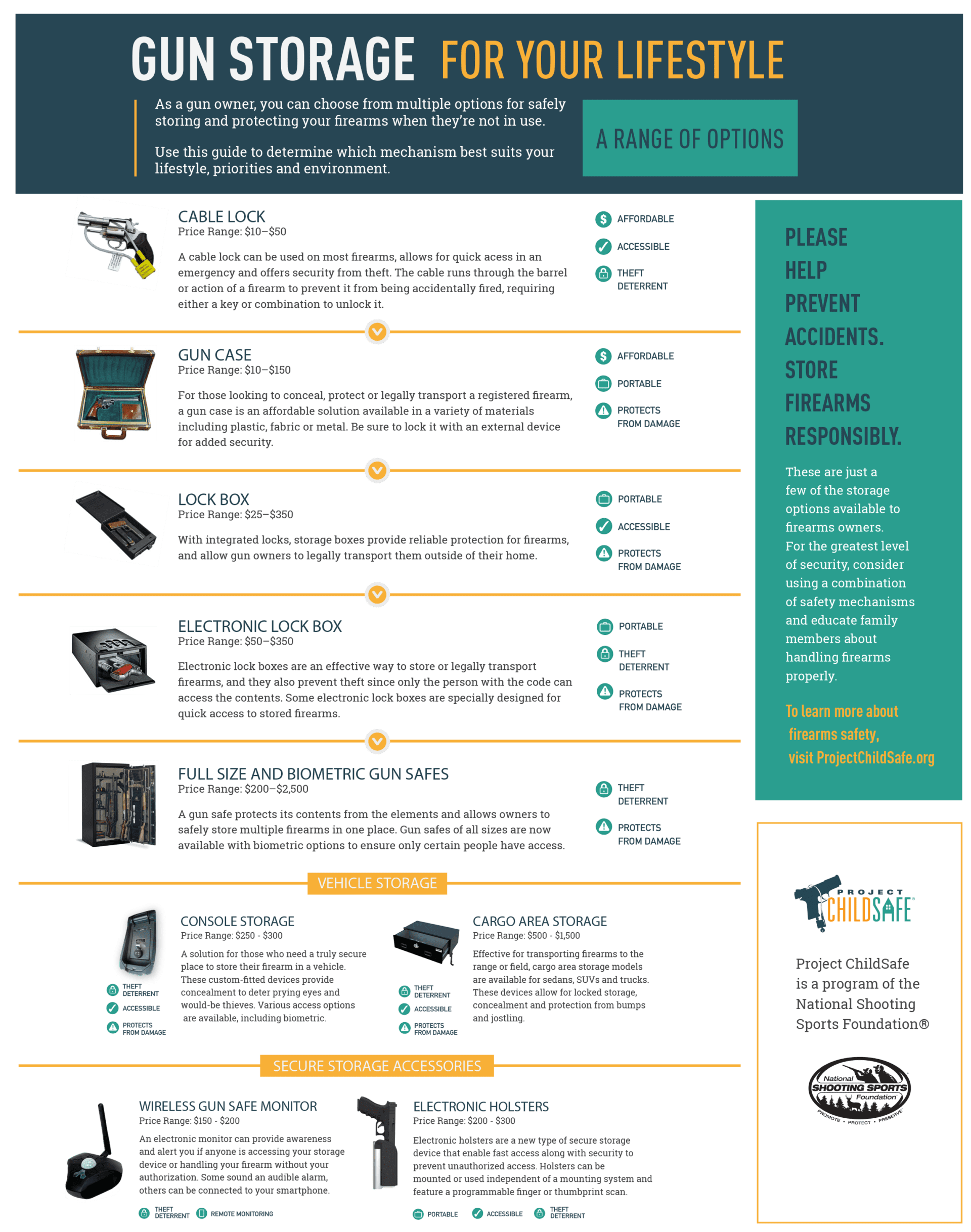 gun storage options infographic